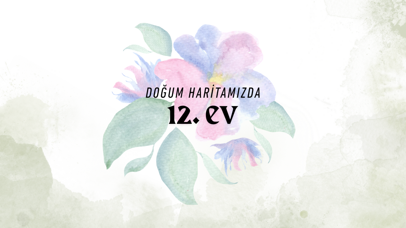 Güneş 12. Evde Ne Demek ?