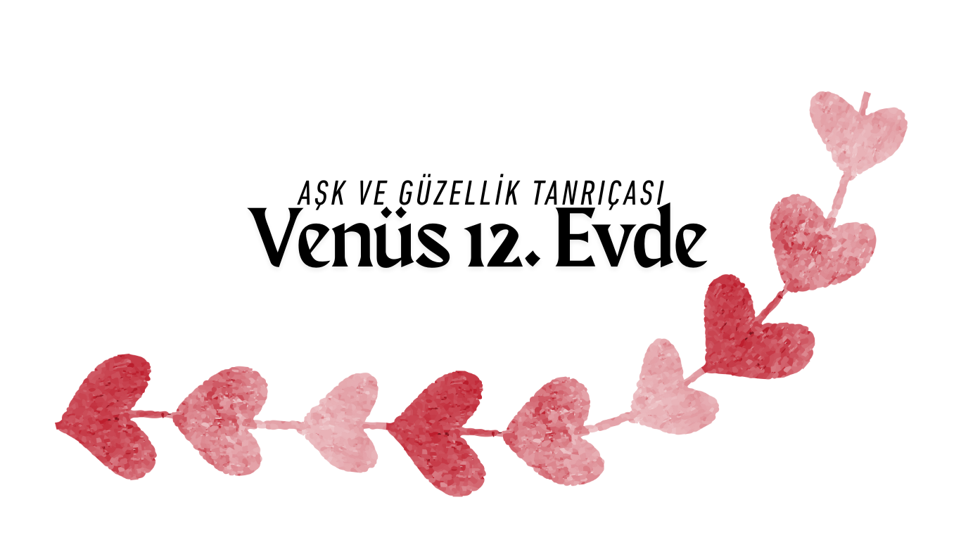 VENÜS 12. EVDE NE DEMEK?